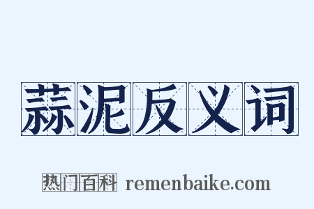 蒜泥反义词是什么意思的图片